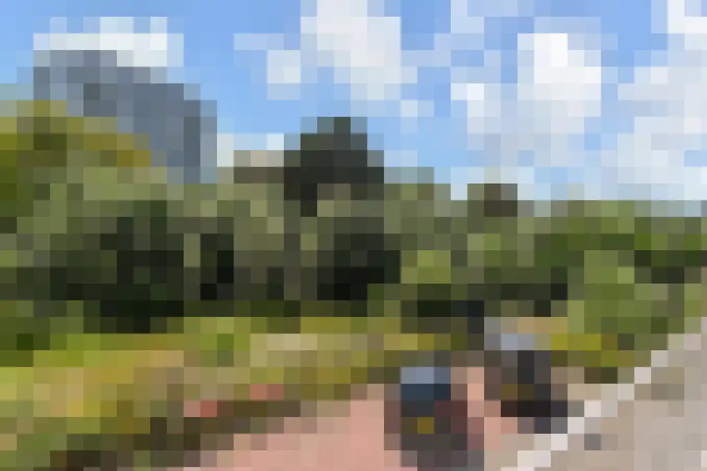 Tarwekamp 27 Den Haag thumbnail 42