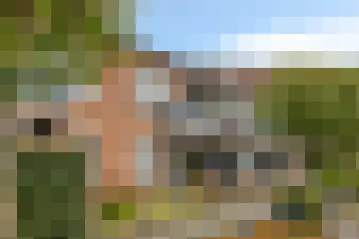 Tarwekamp 35 Hoogland thumbnail 6