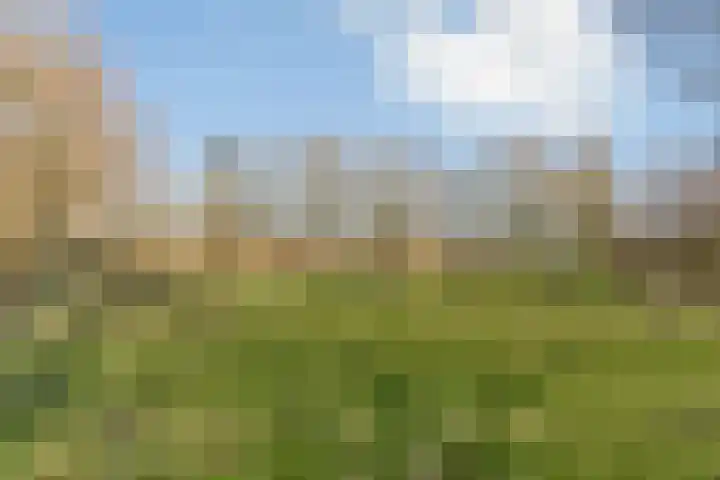 Tarwekamp 6 Diemen thumbnail 15