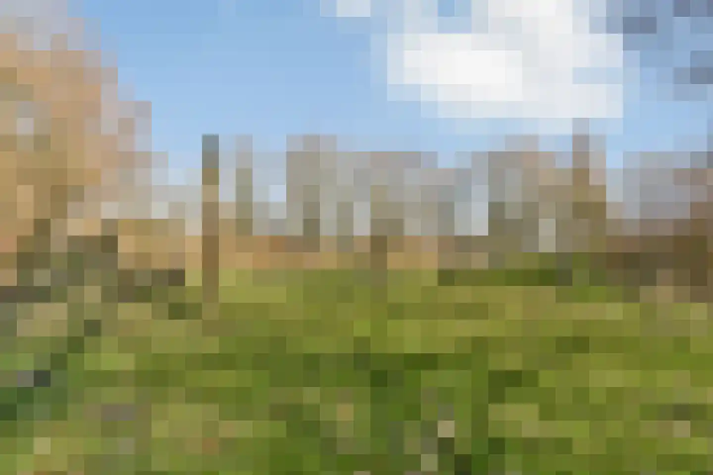 Tarwekamp 6 Diemen thumbnail 19