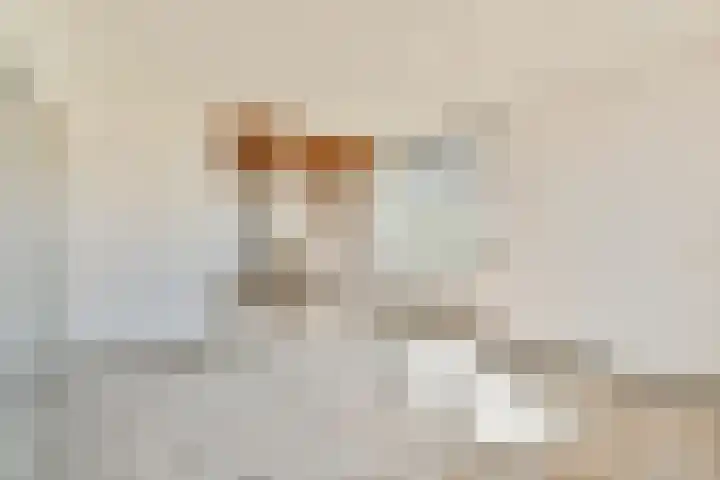 Tarwekamp 6 Diemen thumbnail 8