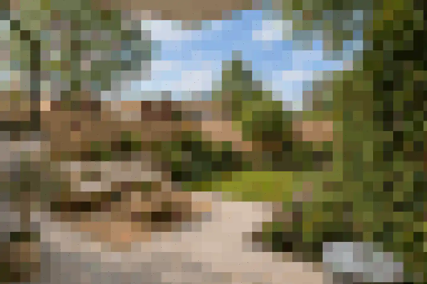 Tarwekamp 6 Diemen thumbnail 8
