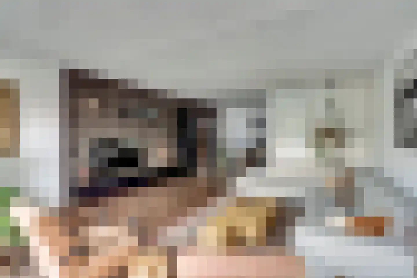 Tarwekamp 7 Hoogeveen thumbnail 12