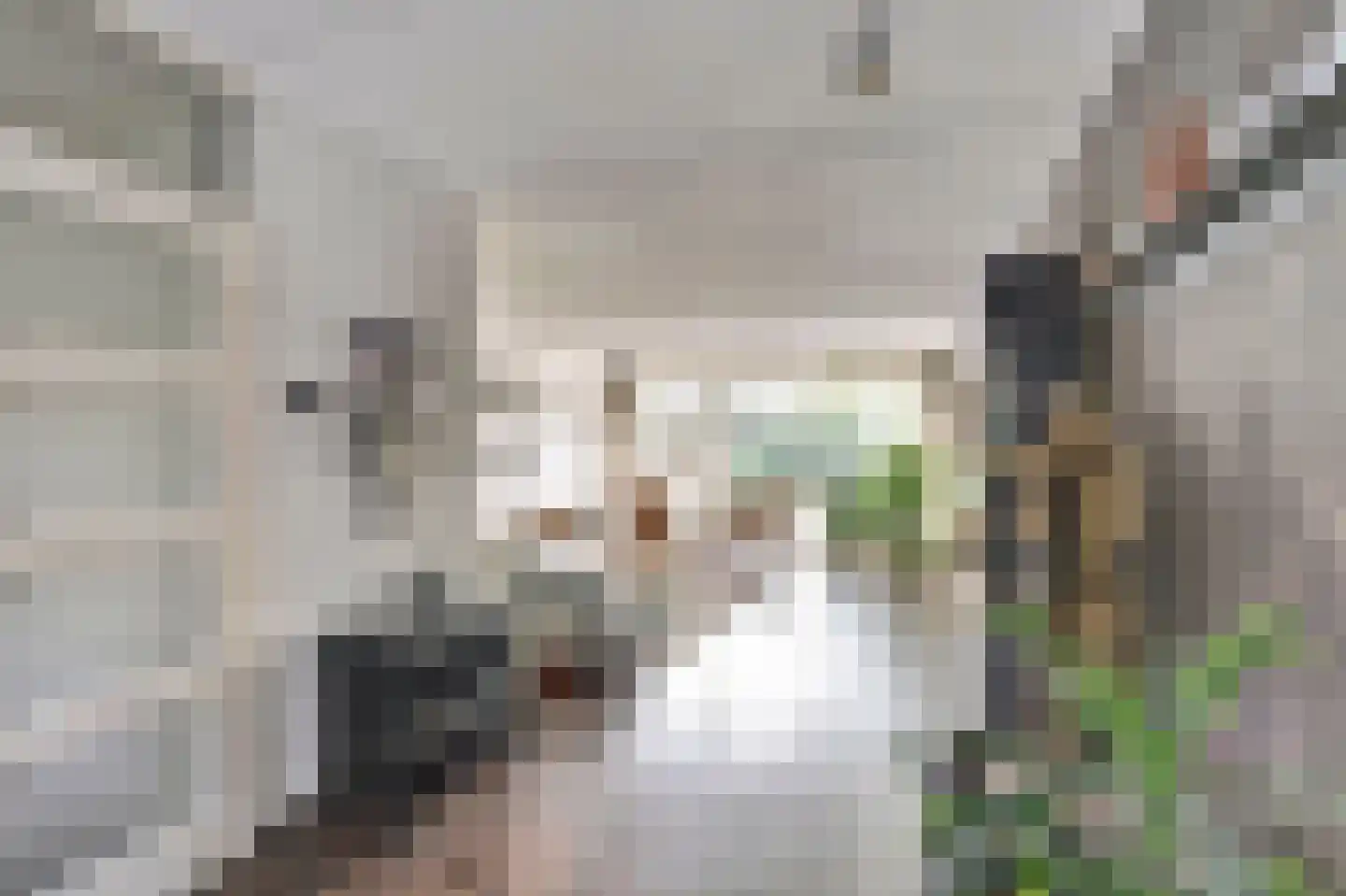 Tarwekamp 7 Hoogeveen thumbnail 15