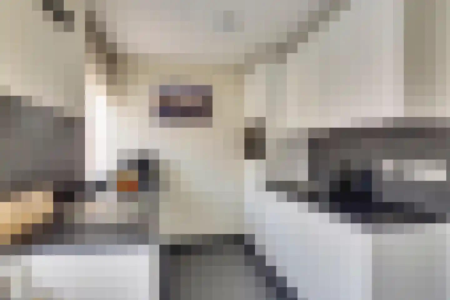 Tarwekamp 7 Hoogeveen thumbnail 23