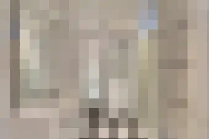 Tarwekamp 7 Hoogeveen thumbnail 24