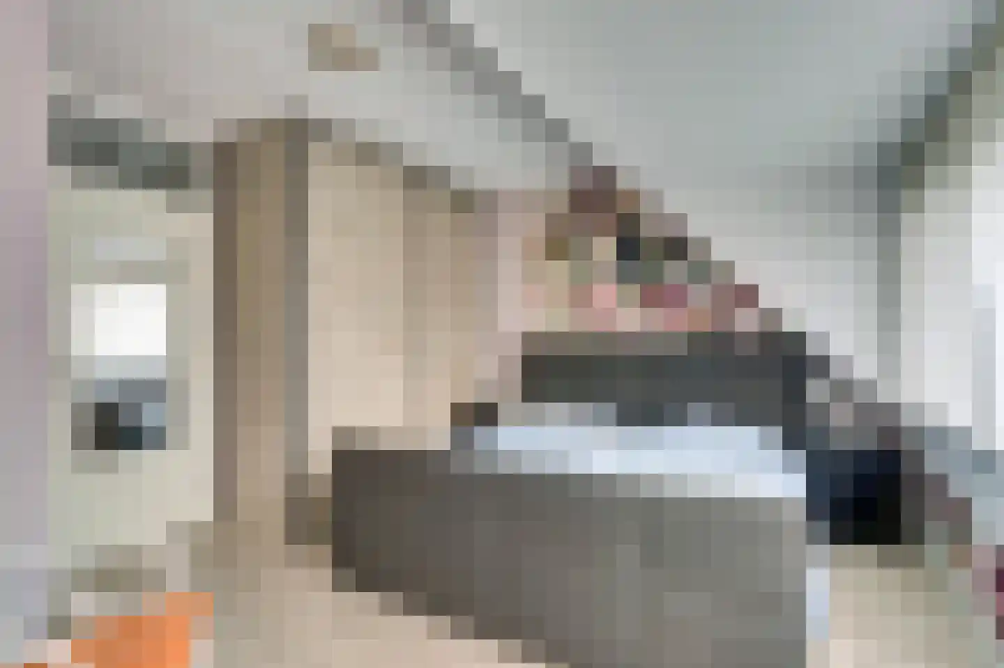Tarwekamp 7 Hoogeveen thumbnail 30
