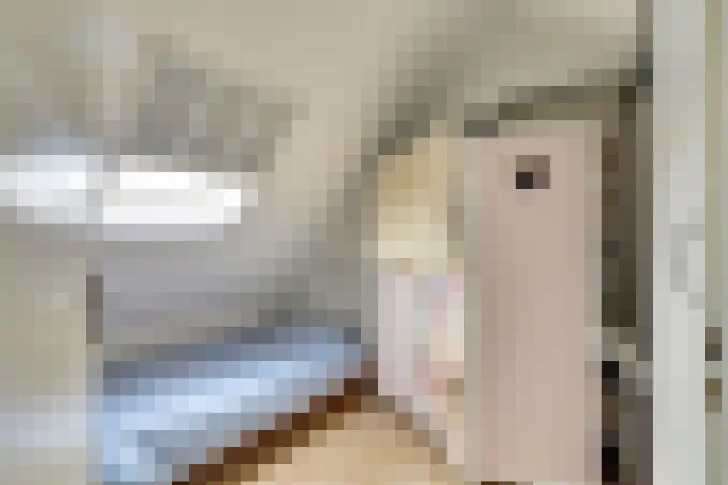 Tarwekamp 7 Hoogeveen thumbnail 38