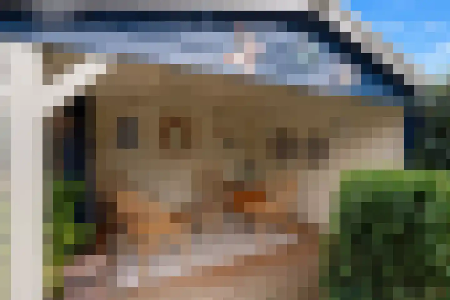 Tarwekamp 7 Hoogeveen thumbnail 5