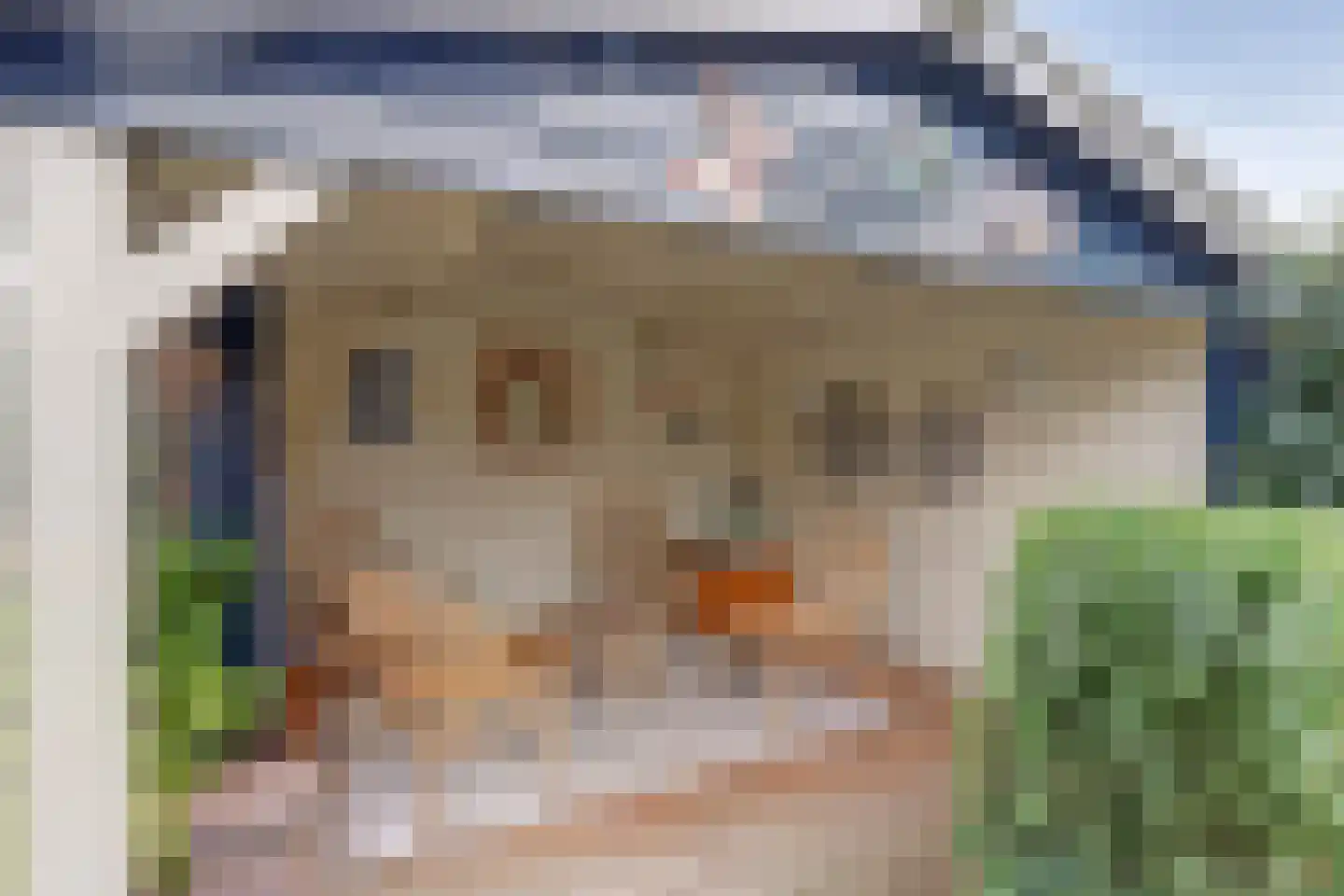 Tarwekamp 7 Hoogeveen thumbnail 5