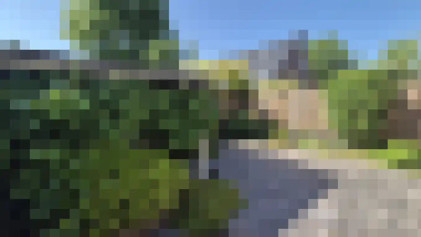 Tarwekamp 7 Hoogeveen thumbnail 6