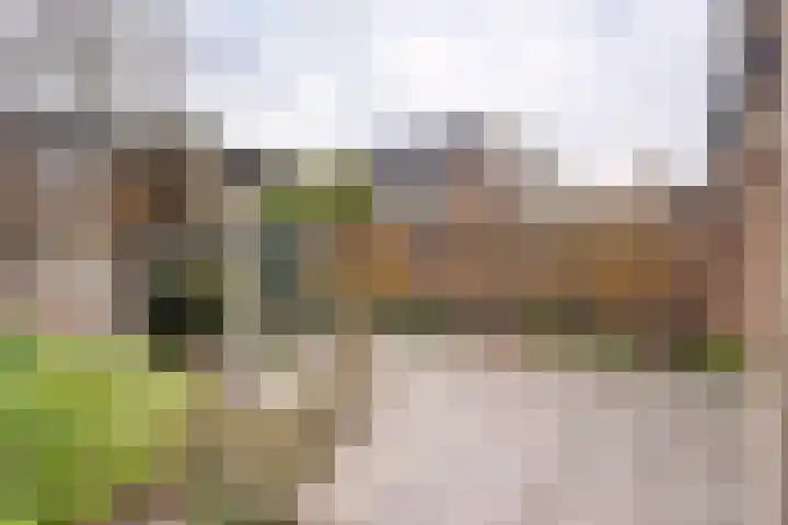 Tarwekamp 7 Hoogeveen thumbnail 6