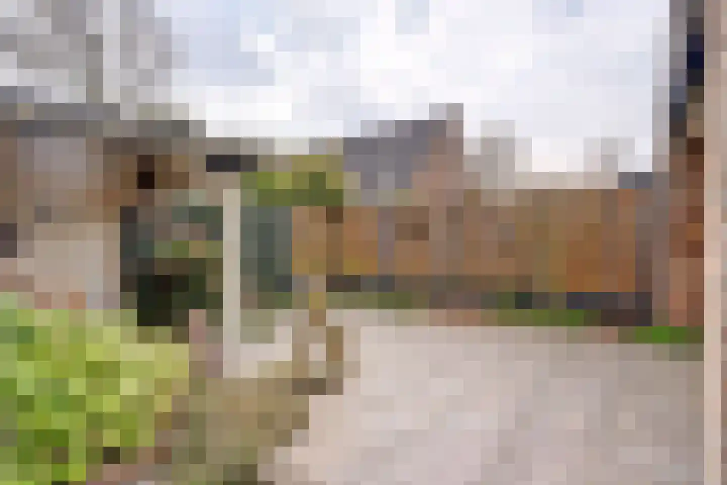 Tarwekamp 7 Hoogeveen thumbnail 6