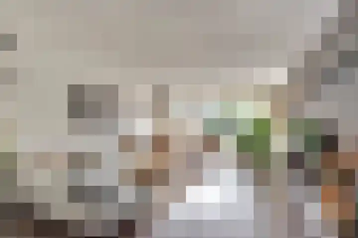 Tarwekamp 7 Hoogeveen thumbnail 8