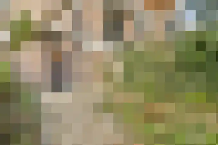 Tarwekamp 78 Diemen thumbnail 17
