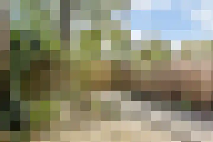 Tarwekamp 78 Diemen thumbnail 18