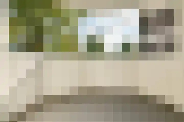 Tarwekamp 78 Diemen thumbnail 8