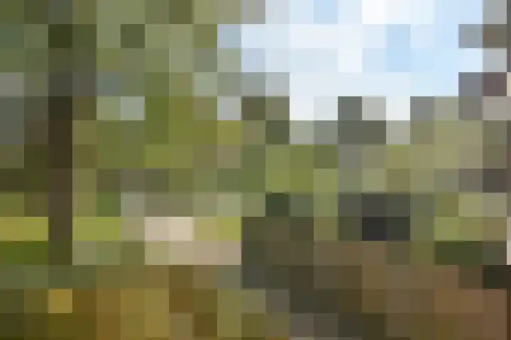 Tarwekamp 78 Diemen thumbnail 9
