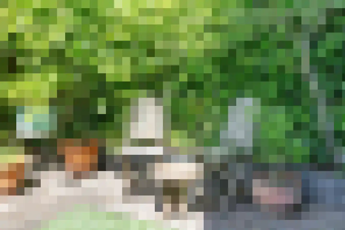 Tarwekamp 8 Diemen thumbnail 39