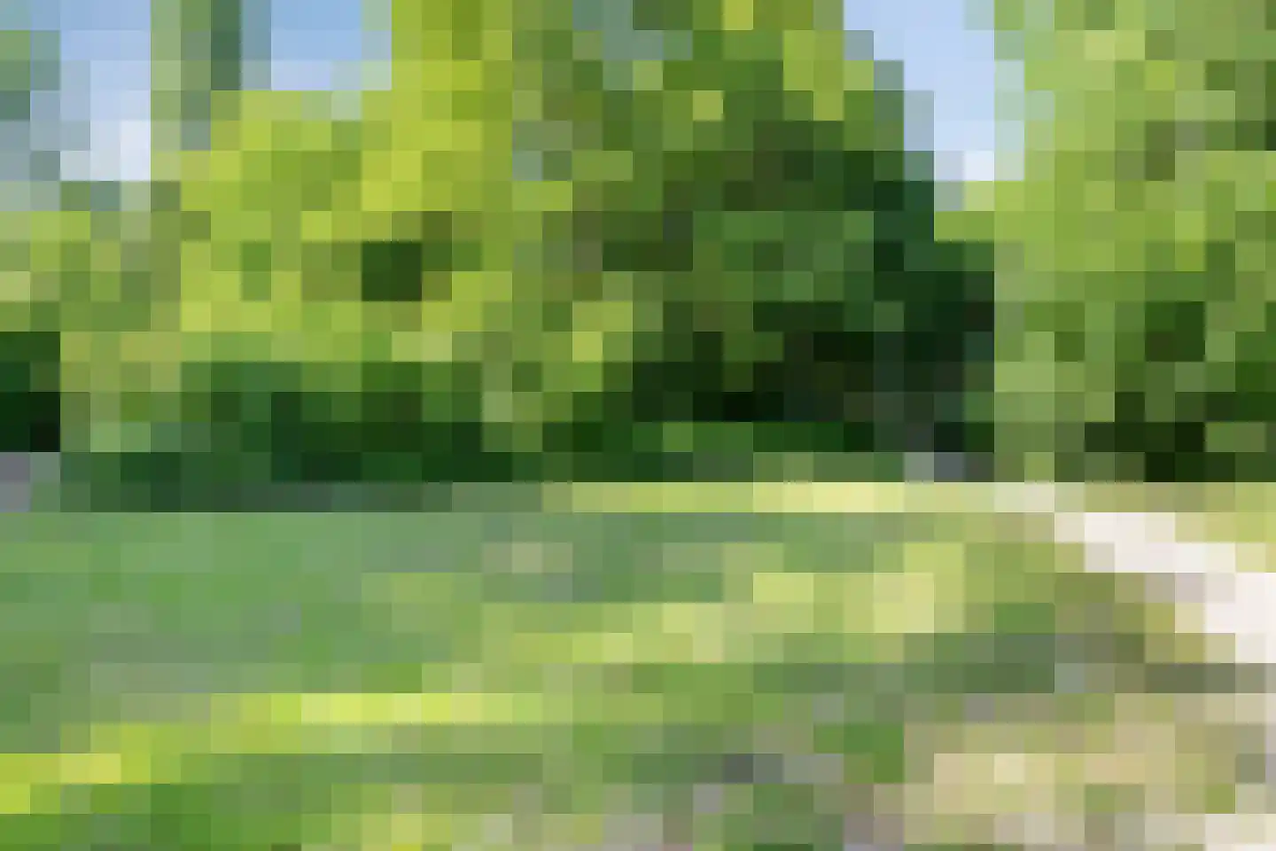 Tarwekamp 8 Diemen thumbnail 44