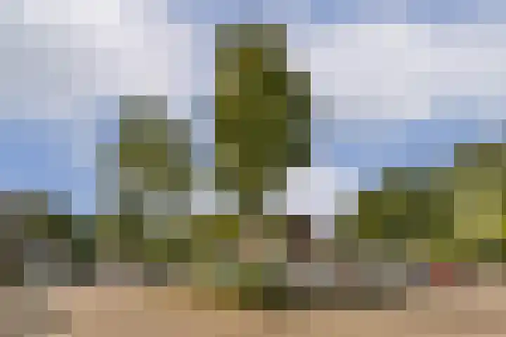 Tarwekamp 80 Diemen thumbnail 27
