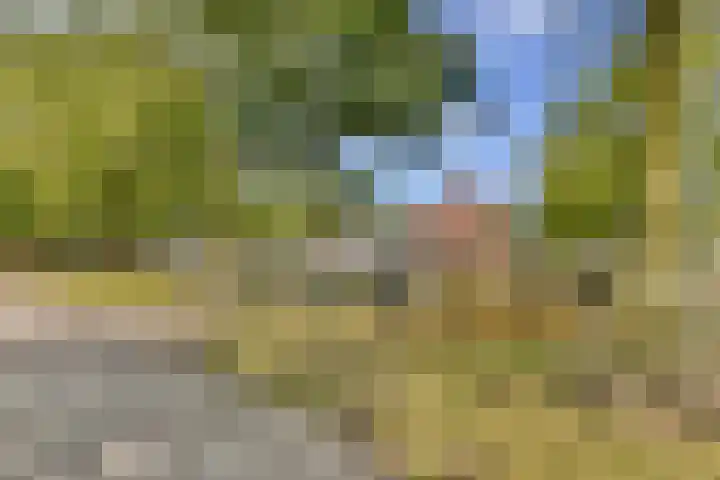 Tarwekamp 80 Diemen thumbnail 28