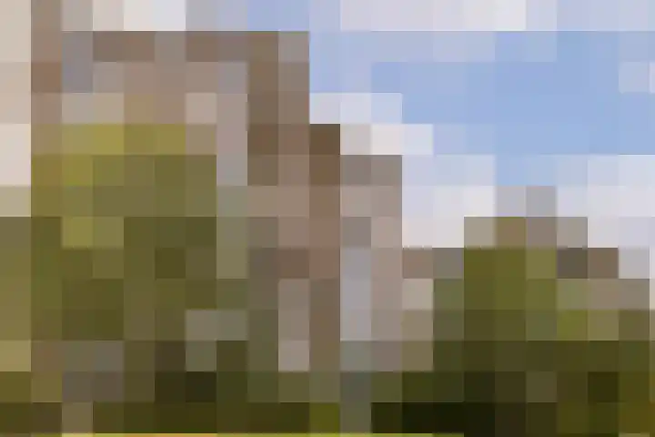 Tarwekamp 80 Diemen thumbnail 30