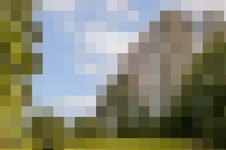 Tarwekamp 80 Diemen thumbnail 31
