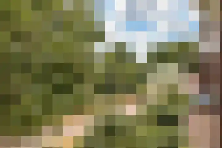 Tarwekamp 86 Diemen thumbnail 6