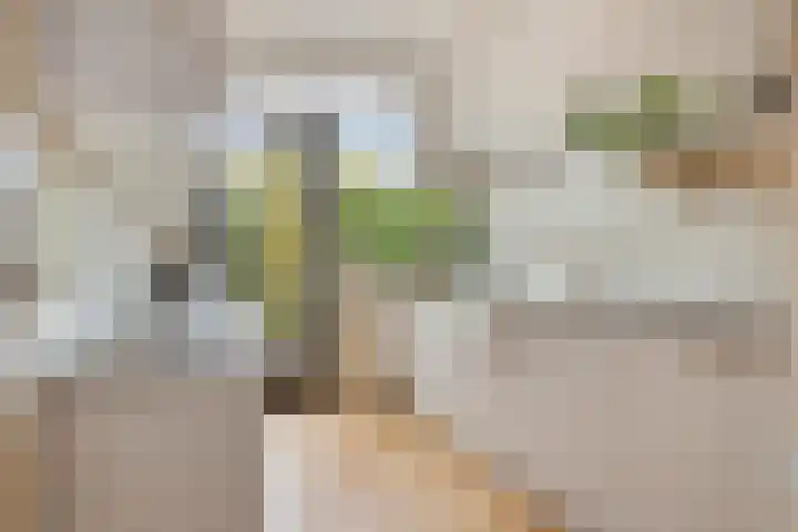 Tarwelaan 1 Eindhoven thumbnail 11