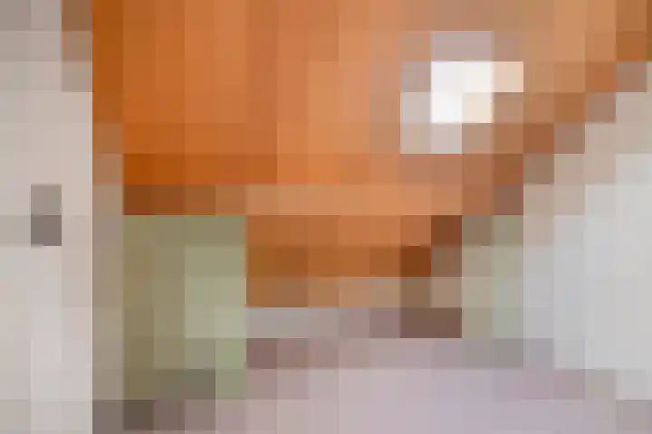 Tarwelaan 1 Eindhoven thumbnail 24