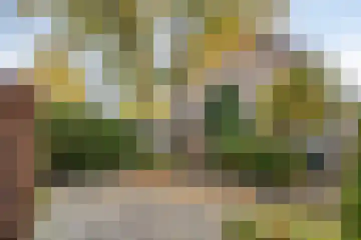 Tarwelaan 1 Eindhoven thumbnail 26