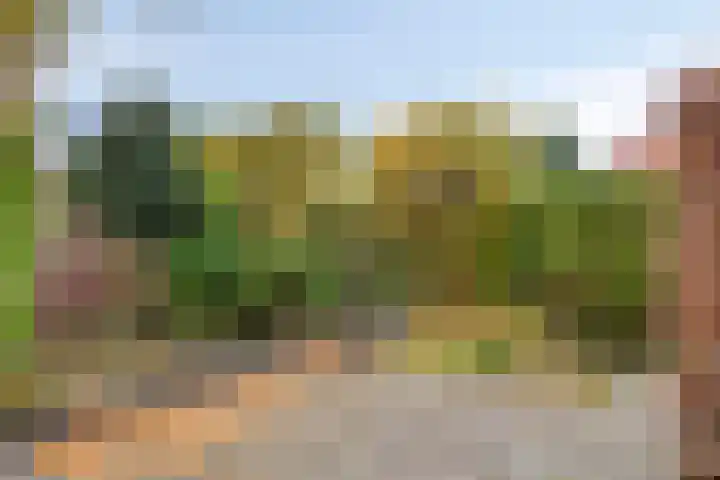 Tarwelaan 1 Eindhoven thumbnail 27