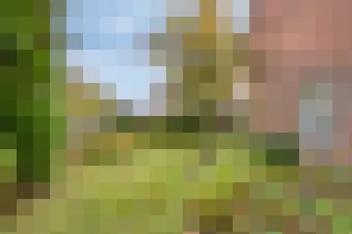 Tarwelaan 1 Eindhoven thumbnail 28
