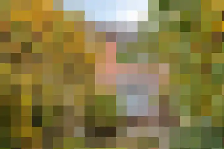 Tarwelaan 1 Eindhoven thumbnail 30