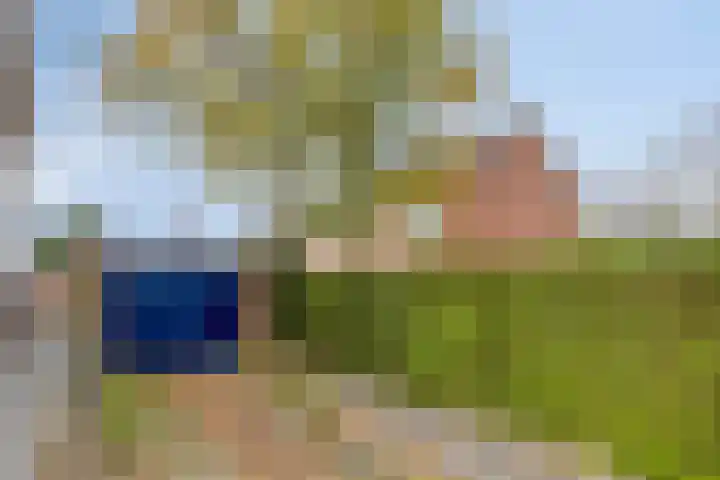 Tarwelaan 1 Eindhoven thumbnail 31