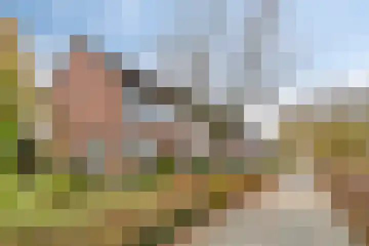 Tarwelaan 1 Eindhoven thumbnail 33
