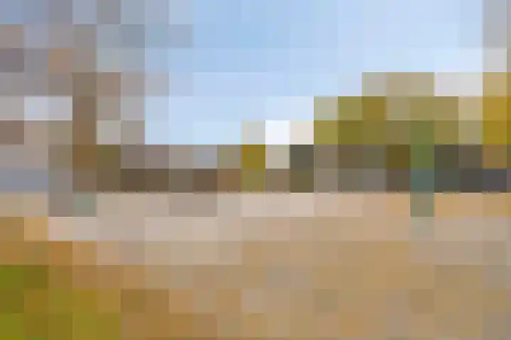 Tarwelaan 1 Eindhoven thumbnail 34