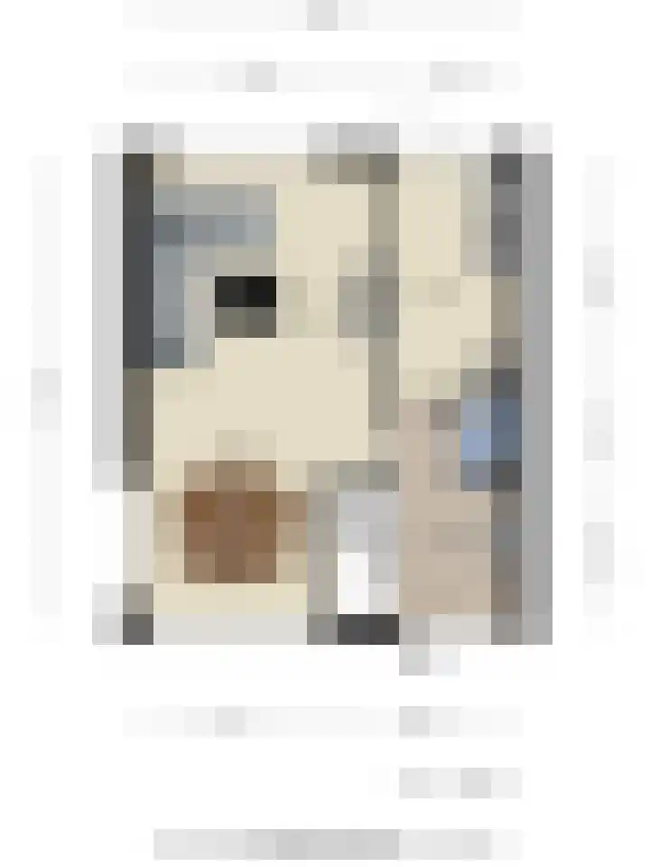 Tarwelaan 1 Eindhoven thumbnail 35