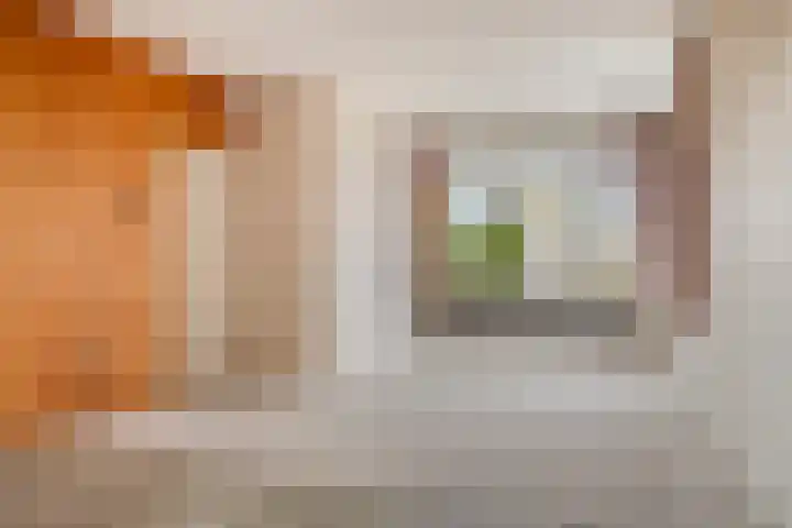 Tarwelaan 1 Eindhoven thumbnail 8
