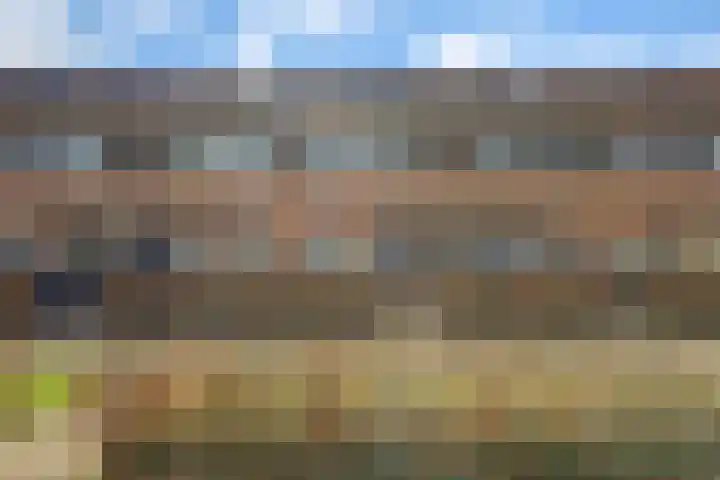 Tarwelaan 56 Zeewolde thumbnail 31