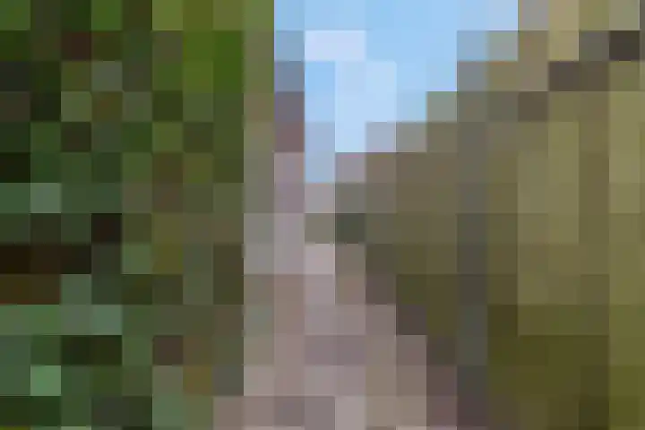 Tarwelaan 76 Zeewolde thumbnail 32