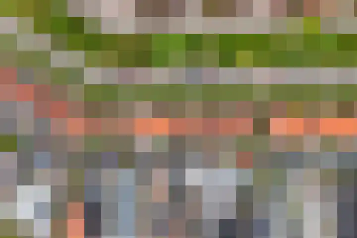 Tarwelaan 76 Zeewolde thumbnail 34