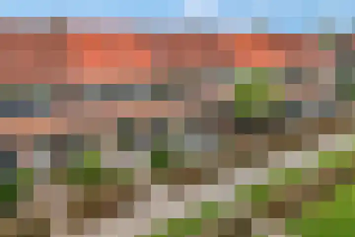 Tarwelaan 76 Zeewolde thumbnail 36