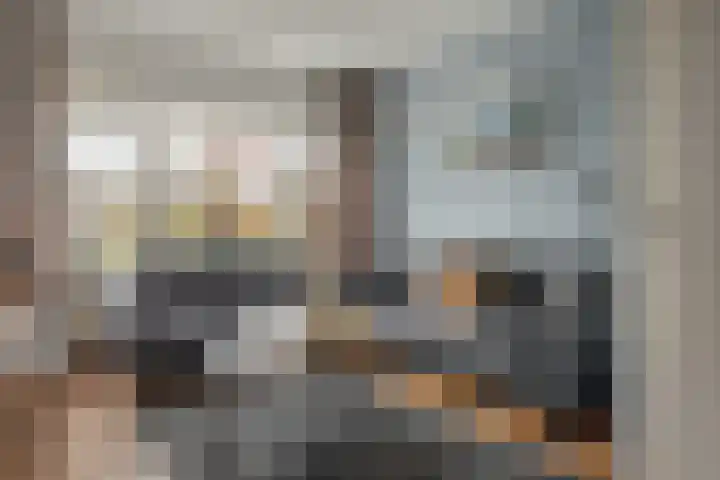Tarweland 11 Geldrop thumbnail 12