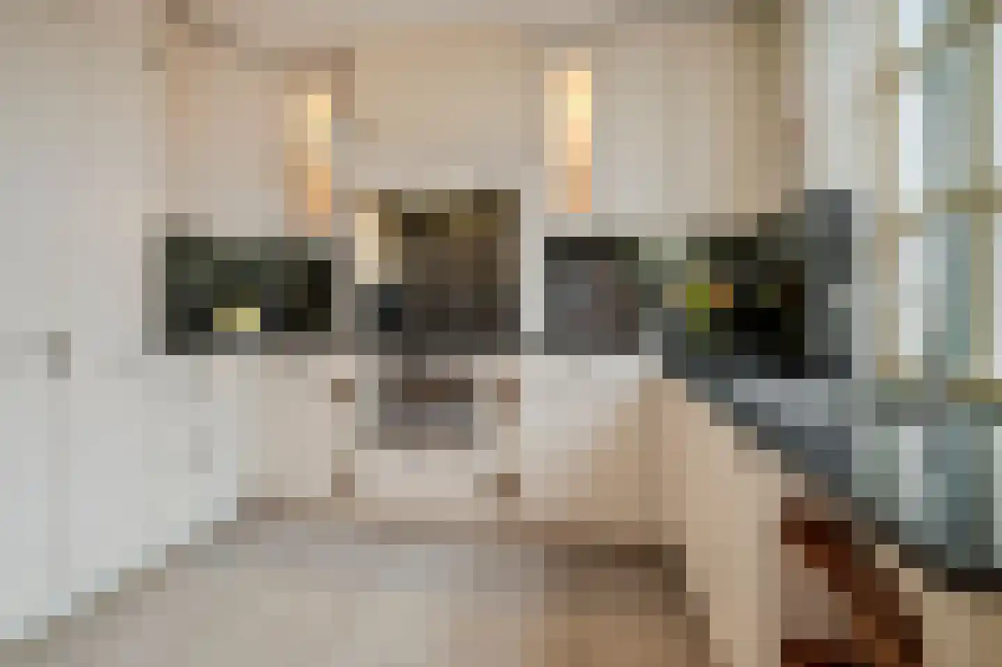 Tarweland 11 Geldrop thumbnail 19