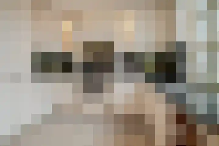 Tarweland 11 Geldrop thumbnail 19