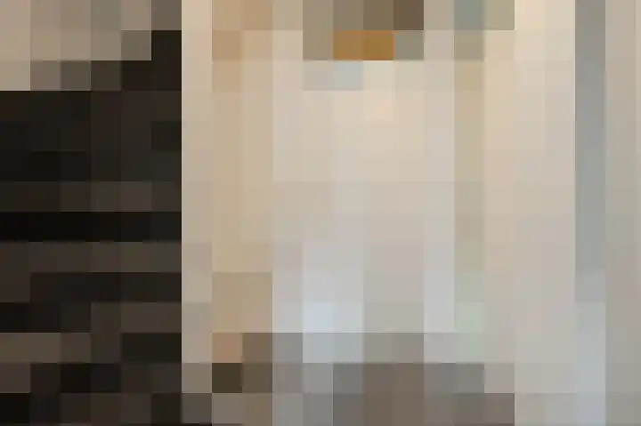 Tarweland 11 Geldrop thumbnail 21