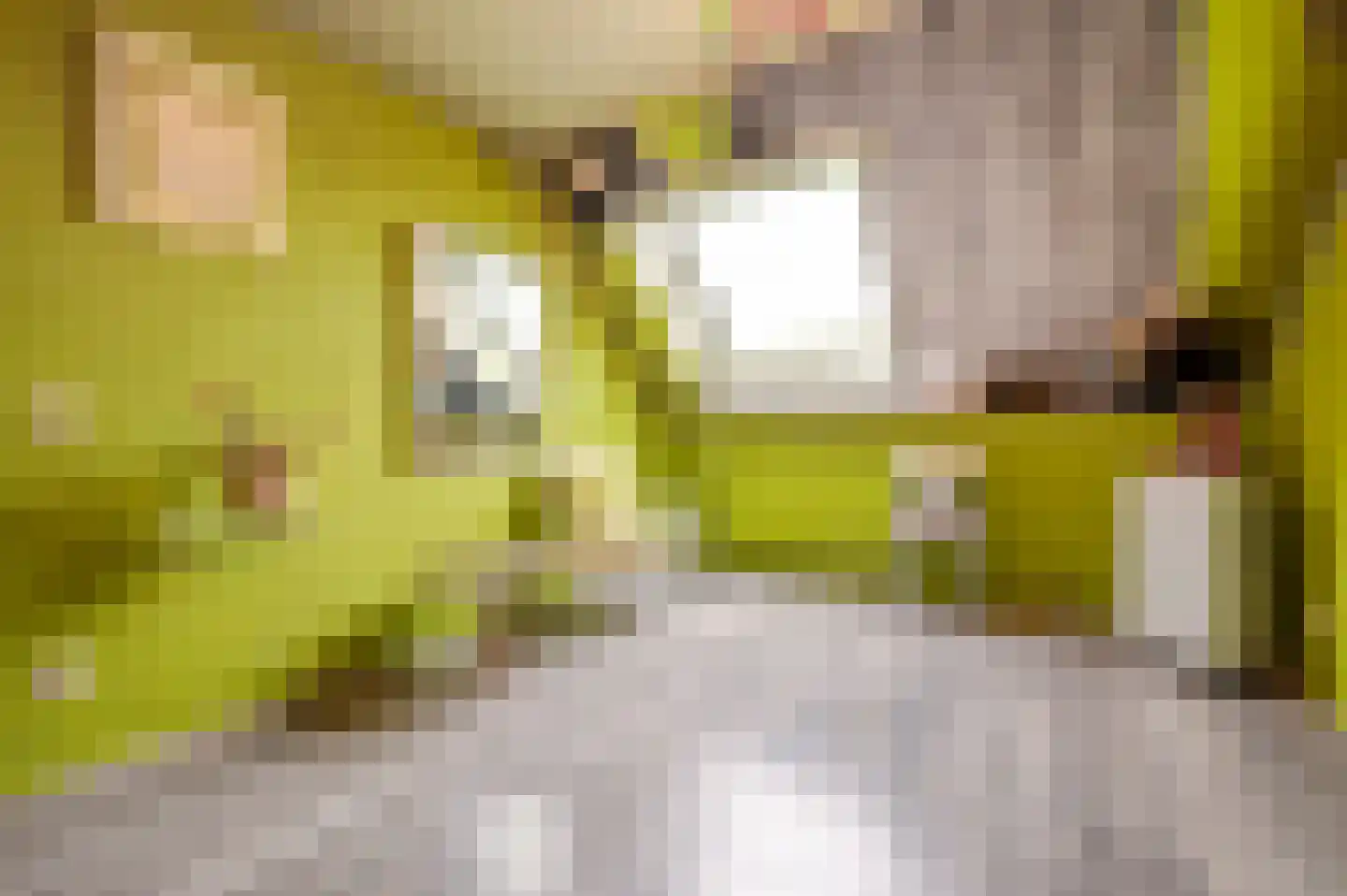 Tarweland 11 Geldrop thumbnail 26