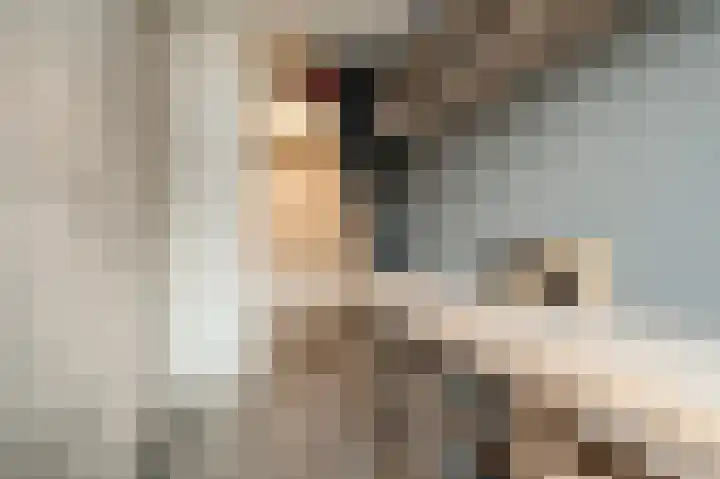 Tarweland 11 Geldrop thumbnail 29